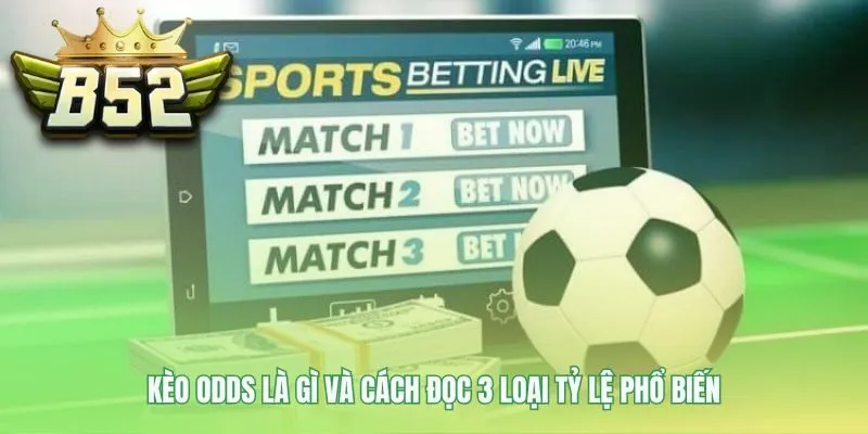 Các loại kèo odds giải mã ngôn ngữ định giá từ nhà cái